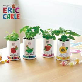 Seishin Ceramics HP-0203 Harapeko Aomushi Nakayoshi Cultivation Set, Wild Strawberry, Size: Approx. φ2.8 inches (7 cm), H4.1 inches (10.3 cm)