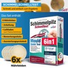Mould test