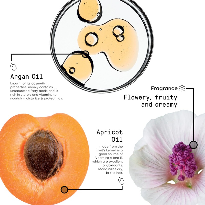 Framesi New Morphosis Hair Treatment Line Sublimis Pure Oil 100