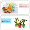 Crève Cell Jelly Balls that Swell in Water, Squishy Balls,
