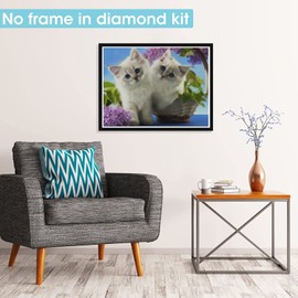 Pavemlo Diamond Painting Set Accessories Cat, DIY 5D Diamond Embroidery Painting Kits Animal Flowers, Full Drill Crystal Rhinestone Embroidery Pictures DIY Diamond Painting for House Wall Decoration