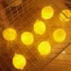 Elegani 10 LED Lemon String Lights – Warm White Indoor