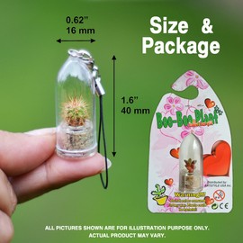 Apple Cactus Live Terrarium Plant Keychain Accessory