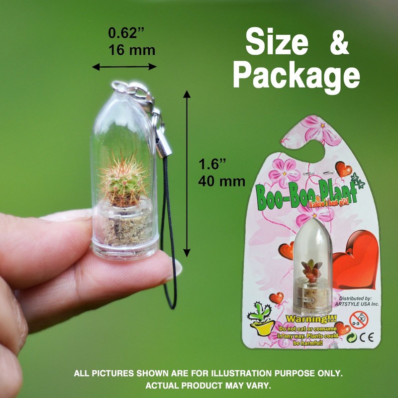 Apple Cactus Live Terrarium Plant Keychain Accessory