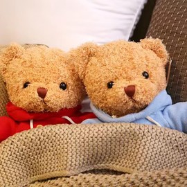 BIUBIULOVE Teddy Bear Stuffed Animal, Soft Cuddly Stuffed Plush Bear, Gifts for Kids Baby Toddlers on Baby Shower, Valentine's Day (Brown, 12inch)