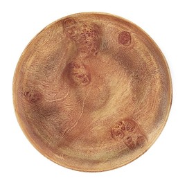 PACIFIC MERCHANTS Round Charcuterie Tray/Plate, 12’’ Diameter x 1” Sustainable Eco-Friendly Acaciawood Food and FruitTrays