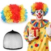 BSBUY Afro Wig Men's Curly Wig Disco Clown Wig Rainbow