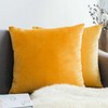 Seechoo Velvet Cushion Covers, Set of 2, 45cm x 45cm,