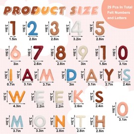 Windkream 29 Pcs Felt Baby Monthly Milestone Decor Numbers and Letters Newborn Birth Photography Props, 1-12 Months Milestone Number Sign Decor for Toddler Boy or Girl (Boho Color)