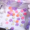 Tyuimhx 30 Pcs Flowers Nail Charms 3D Resin Daisy Nail