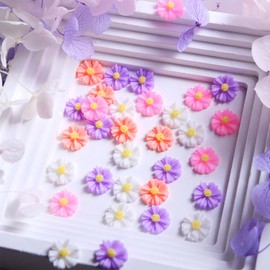 Tyuimhx 30 Pcs Flowers Nail Charms 3D Resin Daisy Nail Art Charms White Purple Pink Floral Charms for Acrylic Nails Women DIY Spring Summer Manicure Jewelry Nail Decorations Crafts