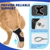 Dog Knuckling Brace Wrap for Hyperflexion of Phalanges Cause by