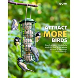 iBorn Pack of 2 Fat Ball Holder, Metal Fat Ball Holder with Roof, Fat Ball Bird Feeder for Hanging, Feeder for Wild Birds, Garden, Balcony, Iron, 26 cm, Green