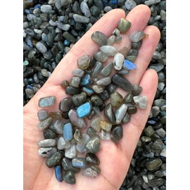 GAF TREASURES Labradorite Blue Chips C Natural Mini Labradorite Blue Stones, Crushed Undrilled Labradorite Blue, Semi-Tumbled Genuine Labradorite Blue (1/4 lb)