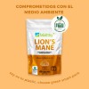 Hongo De Melena De León 60 Cápsulas Wellthy