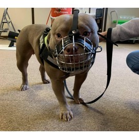 Strong Metal Wire Basket Dog Muzzle for American Bully (BA, Brown leather/Silver)