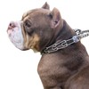 Dog Collar Buckle,Fastener Stainless Steel Buckle for Prong Dog Training