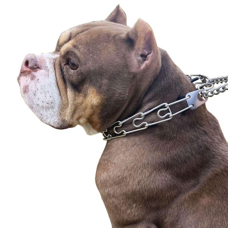 Dog Collar Buckle,Fastener Stainless Steel Buckle for Prong Dog Training