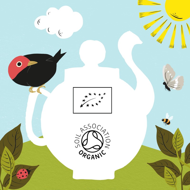 Clipper Organic Nettle Teabags 20 per pack - Pack of