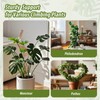 3 Pack Moss Pole, 28" 48" 63" Monstera Plant Support