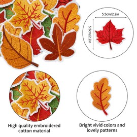 JarThenaAMCS 14Pcs Fall Iron-On Sew-On Patch Maple Leaf Heat Transfer Iron Patches Embroidered Cloth Patches Iron on Patterns for Autumn Thanksgiving DIY Crafts Clothing Fabric