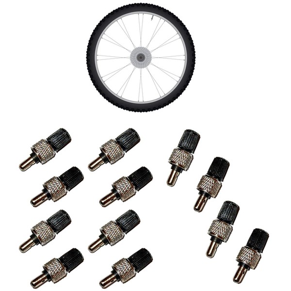 all-around24 Dunlop Valve Set Adaptor Bicycle Valve + Nuts +