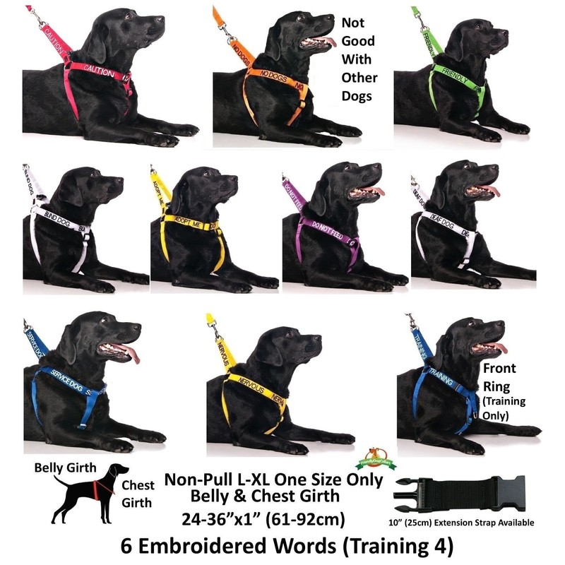 CAUTION (Do Not Approach) Red Colour Coded S-M L-XL Dog