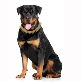 Gold Dog Necklace Collar with Diamond, Pretty Cool Spiked Puppy Collars, Glitter Bling Cat Chain for XXS XS Small Medium Large Pet Dogs, 8-Inch