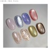 FROM THE NAIL Runway Glitter & Magnet Gel Nail 10g, Color:FG209