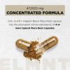ELMNT 40x Strength Organic Black Maca Root w. Ashwagandha -