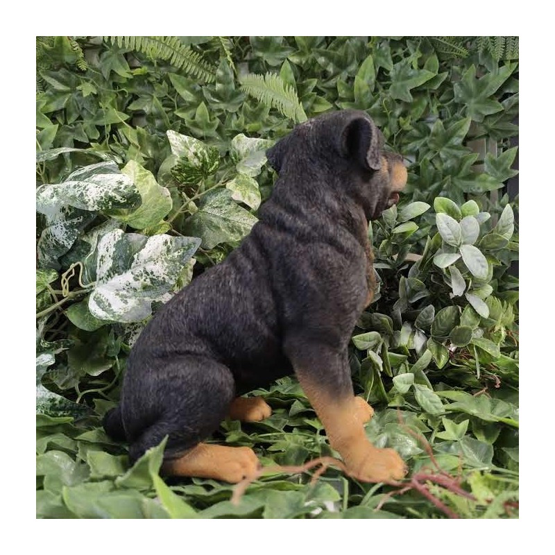 Vivid Arts - Rottweiler - XRL-ROTT-D