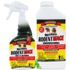Rodent MACE Rodent Repellent - Spray or Concentrate - Size: