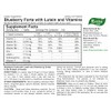 Blueberry Forte by Evalar Vitamins Lutein Zinc Minerals 100 Tabs