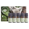 Perfect Potion Australian Essential Oil KIT