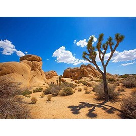 DIY 5D Diamond Painting Kit Joshua Tree National Park Jumbo Rocks Yucca Valley Mohave Desert Adult Full Drill Rhinestone Cross Stitch Art Crafts for Home Decoration 12 X 16 Inch