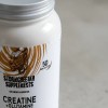 Suplemento Creatina + Glutamina 1 Kg Stormcheetah Sabores