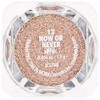 Loose Control Pigment (013, Now or Never)