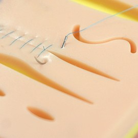 Pack of 24 Suture Material with Exercise Needles, Refill Pack for Surgical Suture Set, Ideal Suture Exercise Thread for Students, Needle and Thread Set, Wound Suture Kit Addition, Ideal Suture