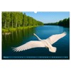 Über dem Vogelflug (Wandkalender 2026 DIN A3 quer), CALVENDO Monatskalender