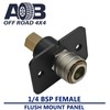 Flush Mount Air Fitting Straight 1/4'' BSP Female without Cap