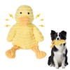Plush Chew Toy, Cuddly Toy for Dogs, Dog Toy, Plush