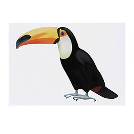 'Toucan' Temporary Tattoo - Water Resistant, Skin-Safe, Non-Toxic Transfer (TO00032229)