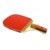 Champion All-Round Style Penholder Table Tennis Racket (Complete Set) Shakehand