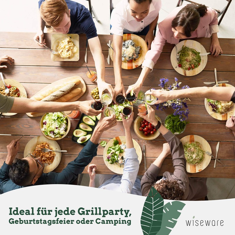 wiseware Palm Leaf Plates - Pack of 25 Disposable Plates