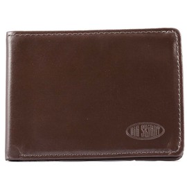 Big Skinny Men's Compact Sports Leather Bi-Fold Slim Wallet, Holds Up to 20 Cards, Brown