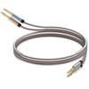 baolongking Hi-Fi Speaker Cable, Pure Copper, Banana Plug, Lead Cable