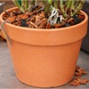 Orchid Nerd Galvanized Rhizome Clip for Clay Pot 4 inch