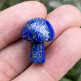 Ladeukoi Pack of 5 Mini Mushrooms Shaped Gemstone Statue Figurine, Carved Crystal Stone Mushrooms Craft for Healing Chakra Reiki Balancing Home Decoration, Lapis Lazuli