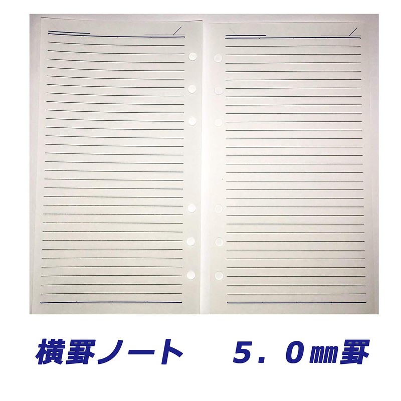 Raymei Fujii JWP7012B Personal Organizer, Keyword, Pocket, Just-Fill Size, Black