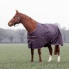Shires Typhoon 100 Turnout Rug - Black Cherry